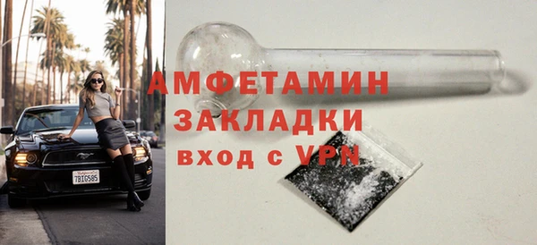 шишки Абаза