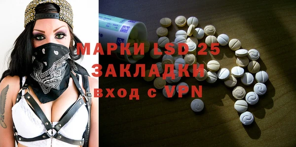 шишки Абаза