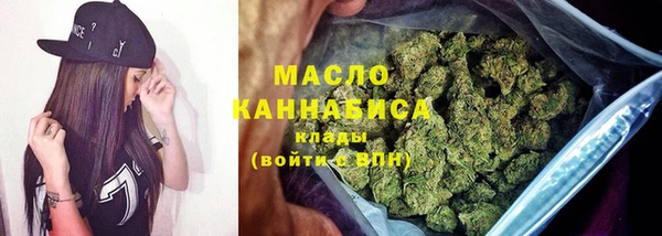 шишки Абаза