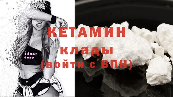 шишки Абаза