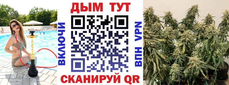 Канабис White Widow  как найти наркотики  Починок 